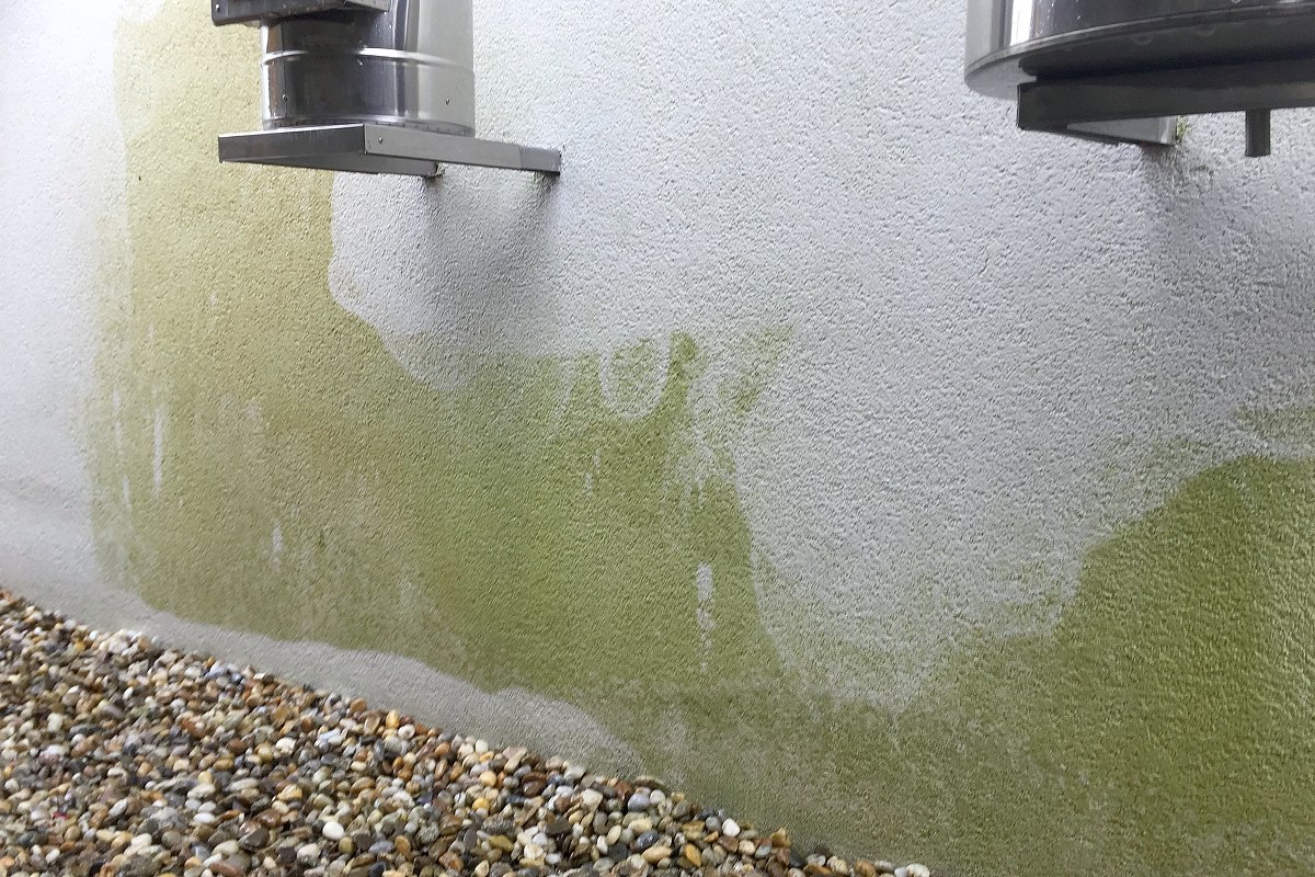 Detail plesňami znečistenej a vyčistenej fasády rodinného domu | pemtrade.sk